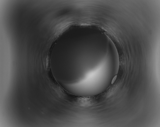 X0000093410139200710121124