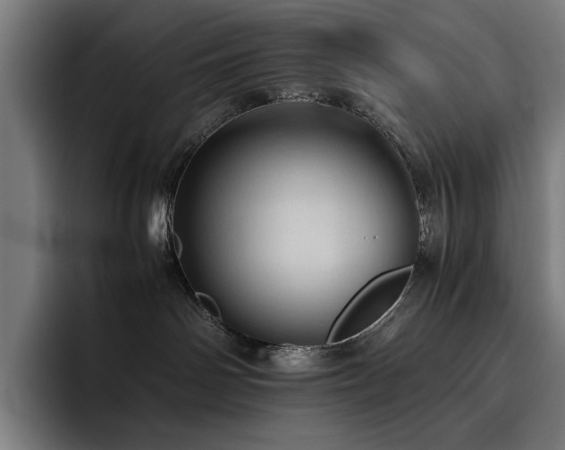 X0000093410142200710121124