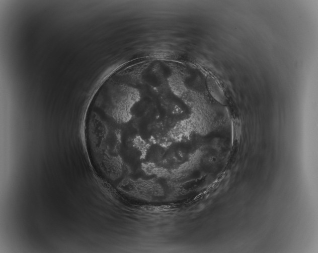 X0000093410147200710121123