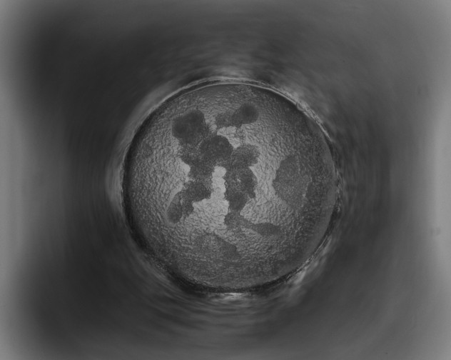 X0000093410151200710121124