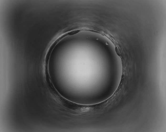 X0000093410152200710121124