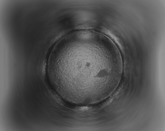 X0000093410153200710121124