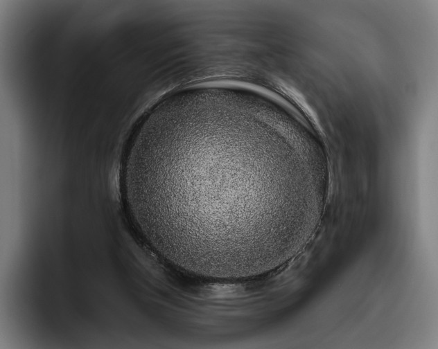 X0000093410154200710121124