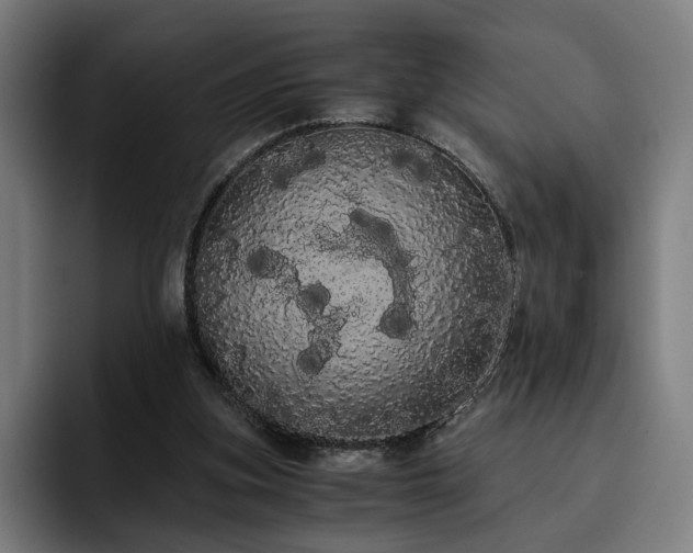 X0000093410155200710121124