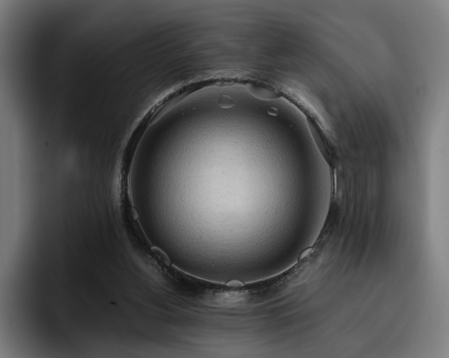 X0000093410156200710121124