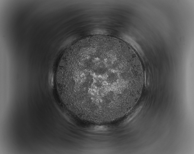 X0000093410157200710121124