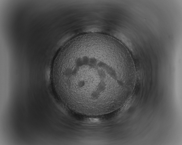 X0000093410159200710121124