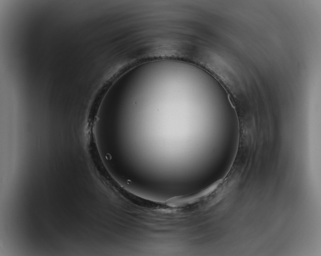 X0000093410160200710121124