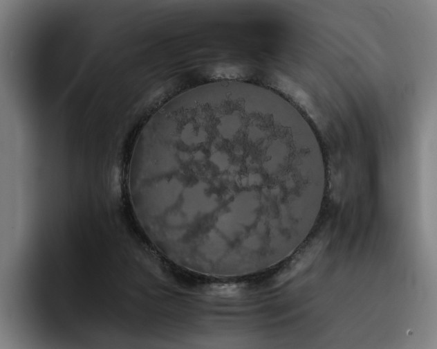 X0000093410161200710121124