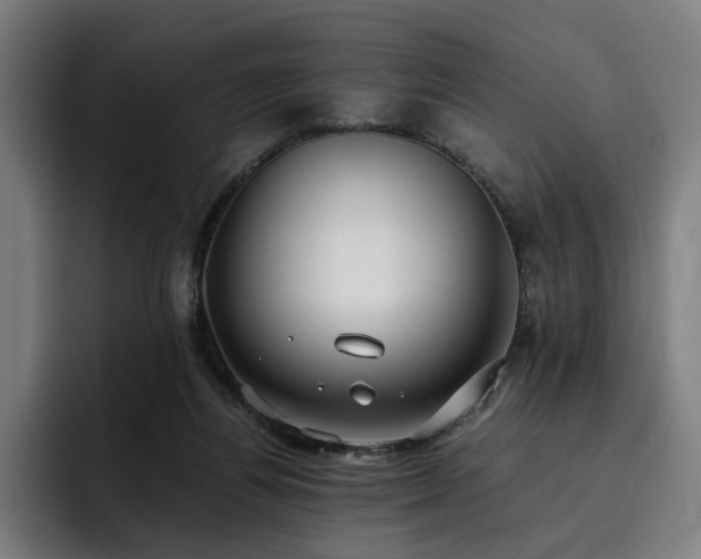 X0000093410164200710121124