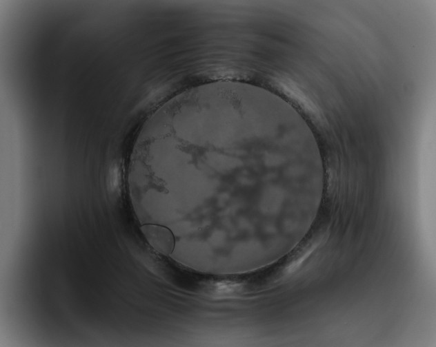 X0000093410165200710121124