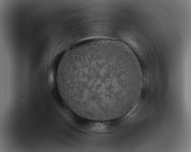 X0000093410166200710121124