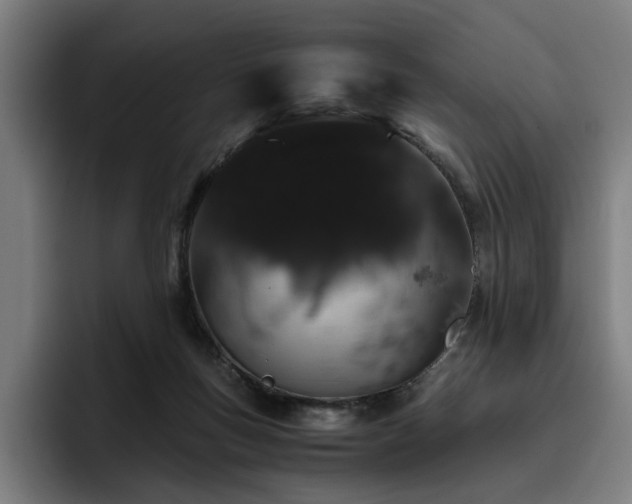 X0000093410167200710121124