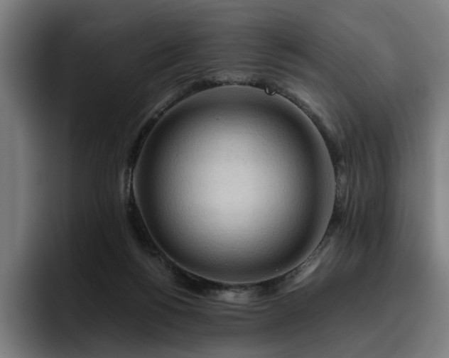 X0000093410168200710121124