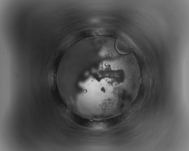 X0000093410169200710121124