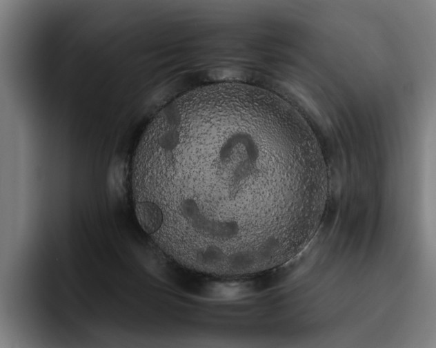 X0000093410171200710121124