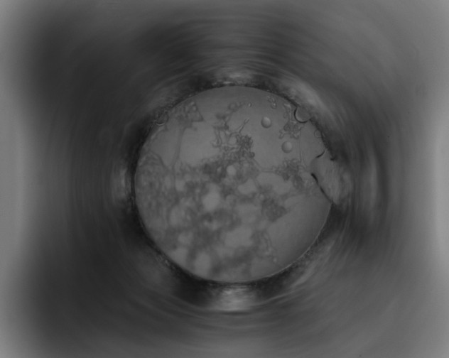 X0000093410173200710121124