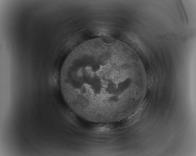 X0000093410175200710121124