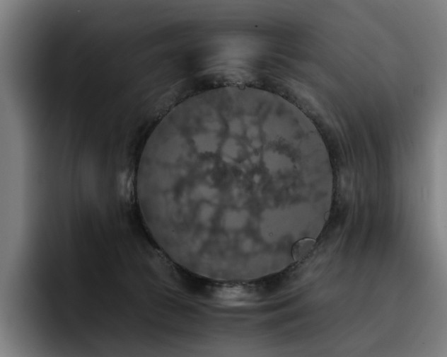 X0000093410177200710121124