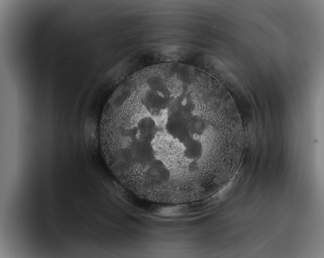 X0000093410178200710121124