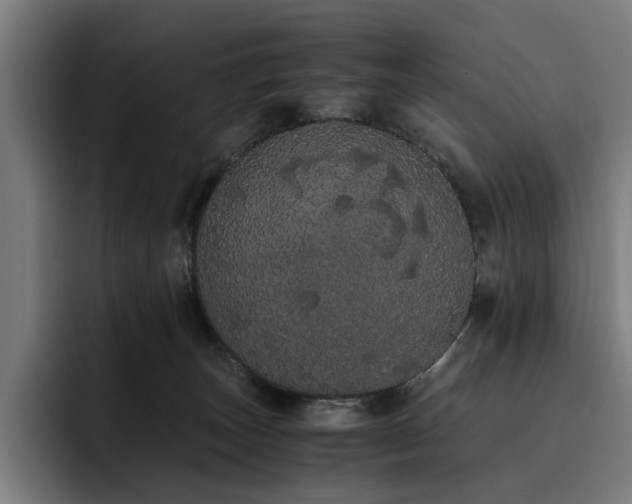 X0000093410179200710121124