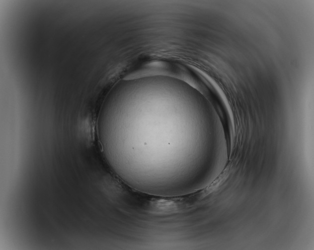 X0000093410180200710121124