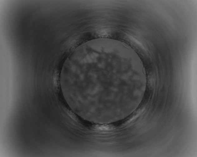 X0000093410181200710121124