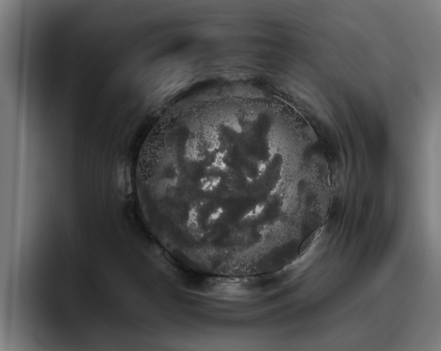 X0000093410182200710121124