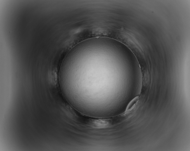 X0000093410183200710121124