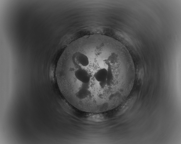 X0000093410185200710121124