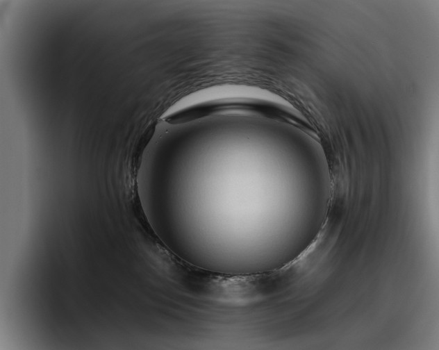 X0000093410186200710121124