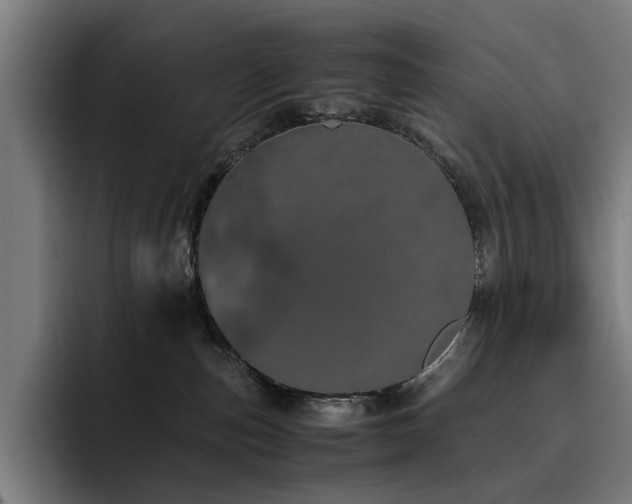 X0000093410187200710121124