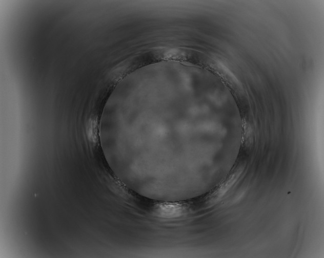 X0000093410189200710121124