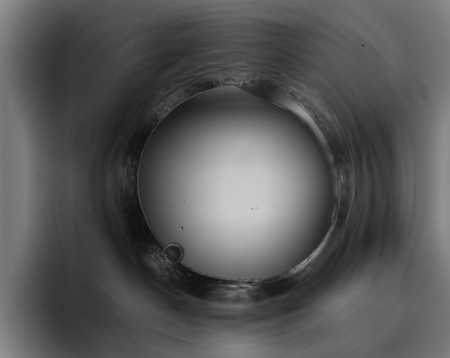 X0000093410190200710121124