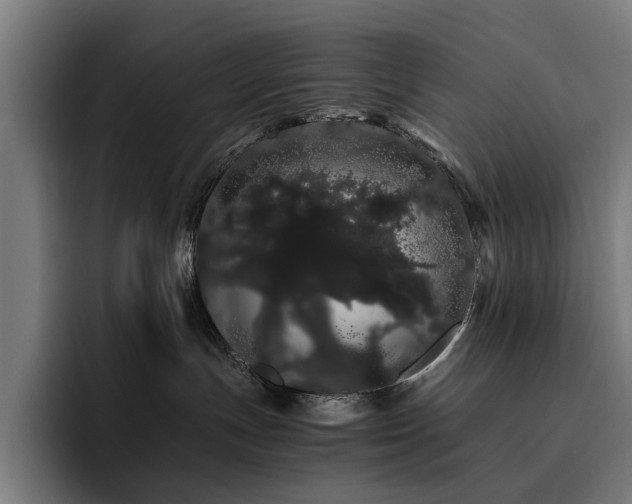 X0000093410191200710121124