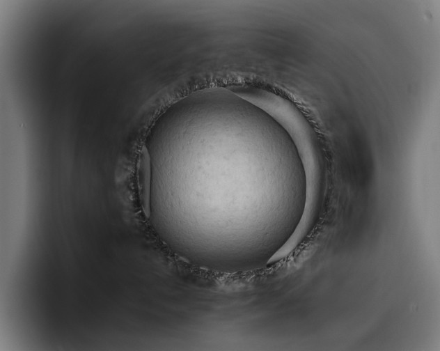 X0000093410192200710121124