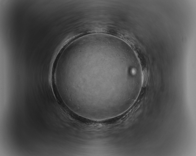 X0000093410195200710121123