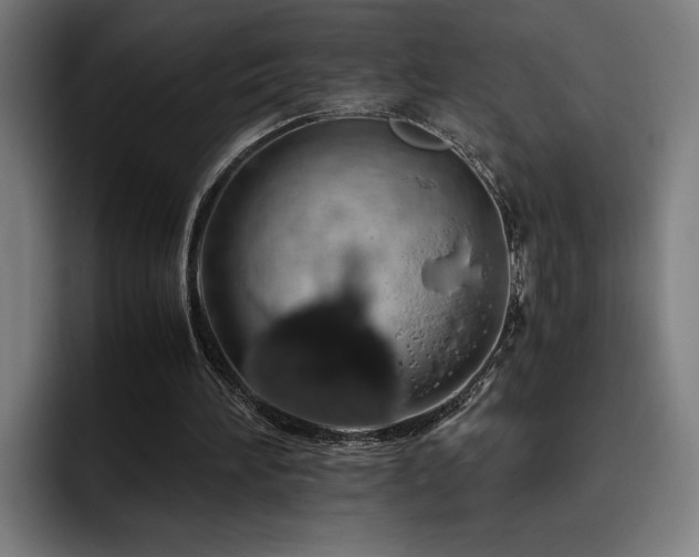 X0000093410196200710121123