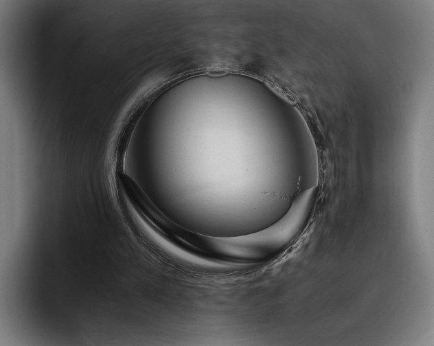 X0000093410197200710121123