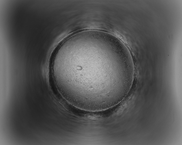 X0000093410199200710121123