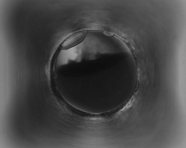 X0000093410200200710121123