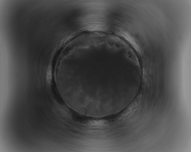 X0000093410202200710121123