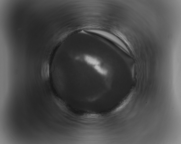 X0000093410205200710121123