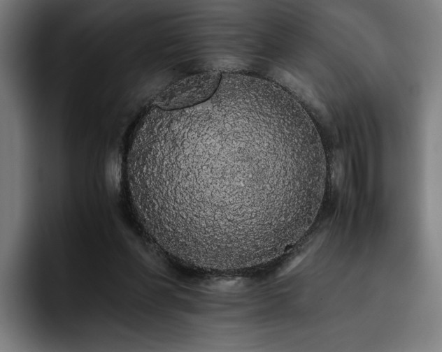 X0000093410206200710121123