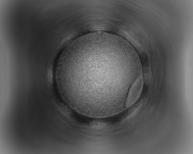 X0000093410207200710121123