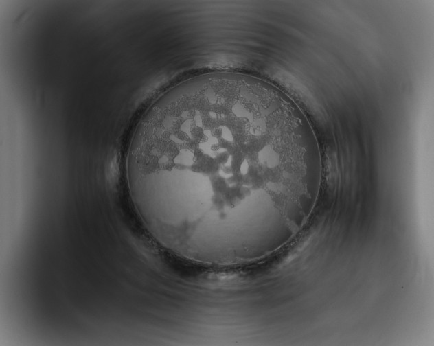 X0000093410208200710121123