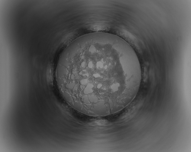 X0000093410210200710121123