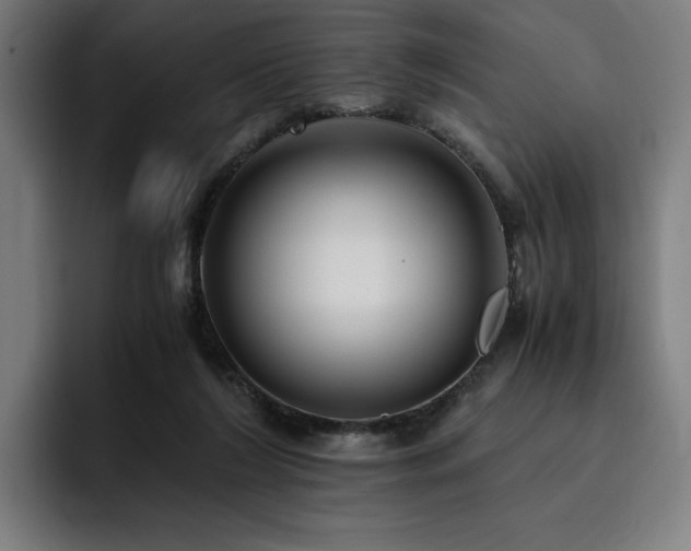 X0000093410212200710121123