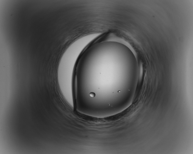 X0000093410215200710121123