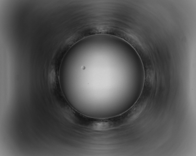 X0000093410220200710121123